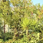 Astyvillas *