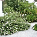 Astyvillas *