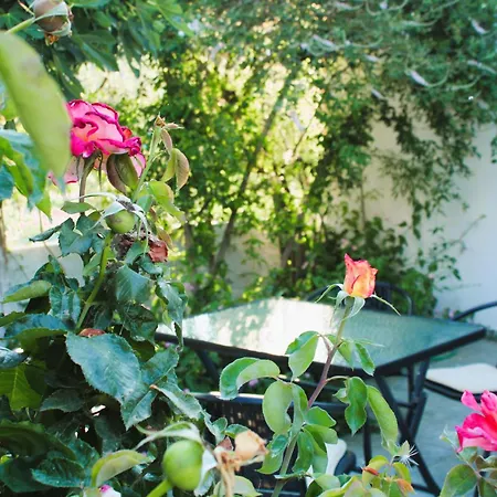 Astyvillas Semesterbostad Livadi (Astypalaia)