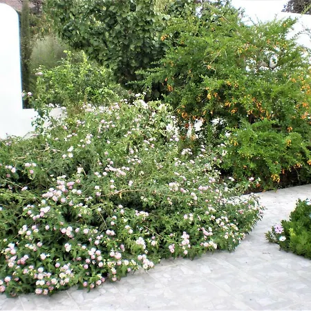 Astyvillas *