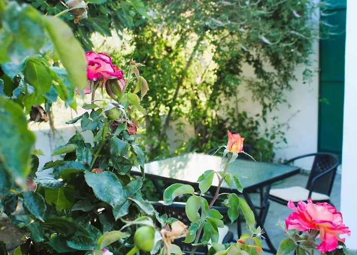 Astyvillas Semesterbostad Livadi (Astypalaia)