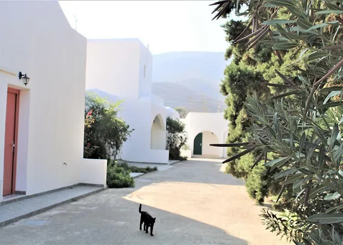 Astyvillas *