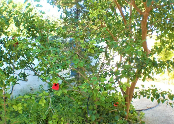 Astyvillas *