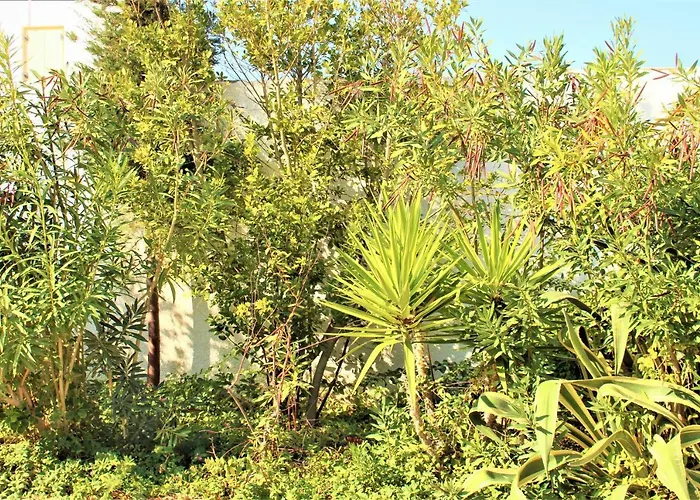 Astyvillas *