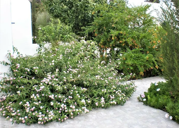 Astyvillas *