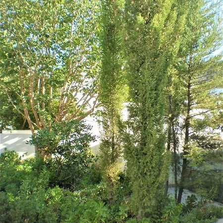 Astyvillas Livadi (Astypalaia)