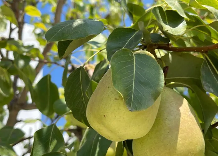 Astyvillas بيت للعطل ليفاذيا أستيبالياس