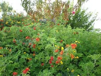 Astyvillas ليفاذيا أستيبالياس