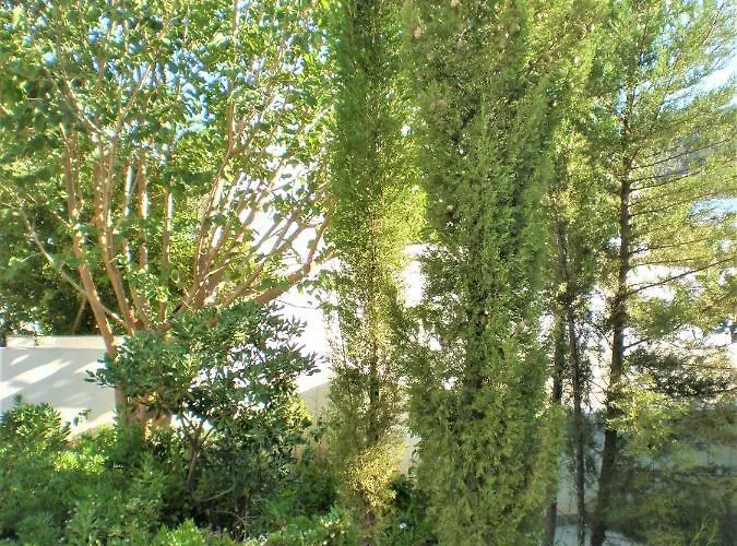 Astyvillas ليفاذيا أستيبالياس